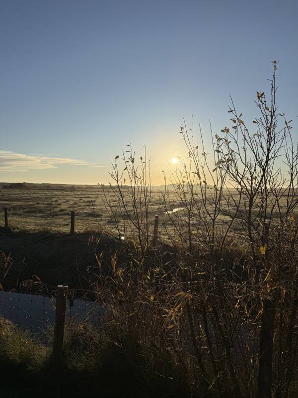 Begin het nieuwe jaar 2026 aan zee!